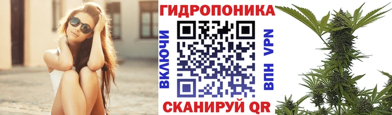 Шишки марихуана VHQ  Котельниково 
